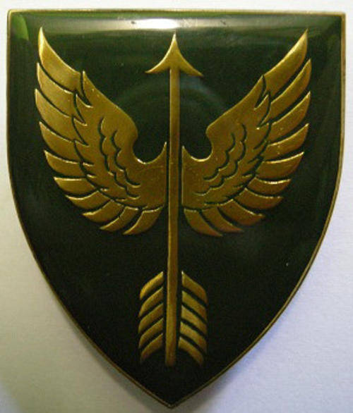 Wemmerpan Commando Shoulder Flash Pins Intact