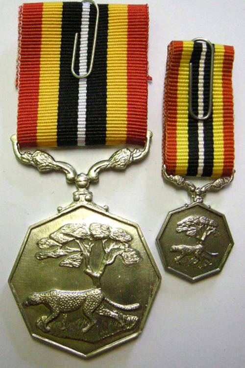 Full Size Southern Africa Medal Uniface Susp Short Grass Crisp Detail Matte Nr w/ Miniature
