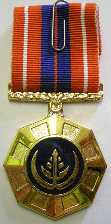 Full Size Pro Patria Medal Numbered at Back Flush Epoxy