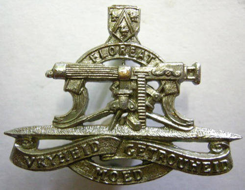 Refiment President Steyn Chromed Cap Badge (LeftHand Collar) Dinnes 847 Repaired Lugs Pressed Closed