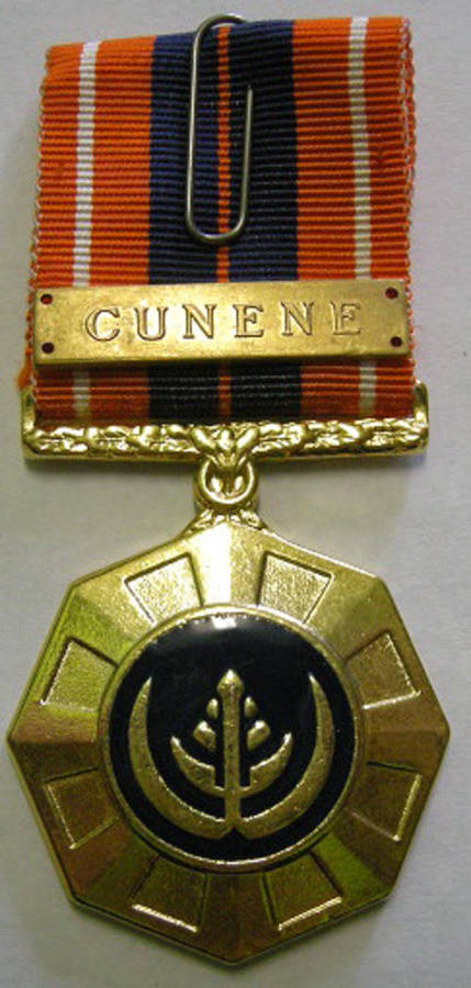 Full Size Pro Patria Medal Numbered at Back Flush Epoxy w/ Cunene Bar