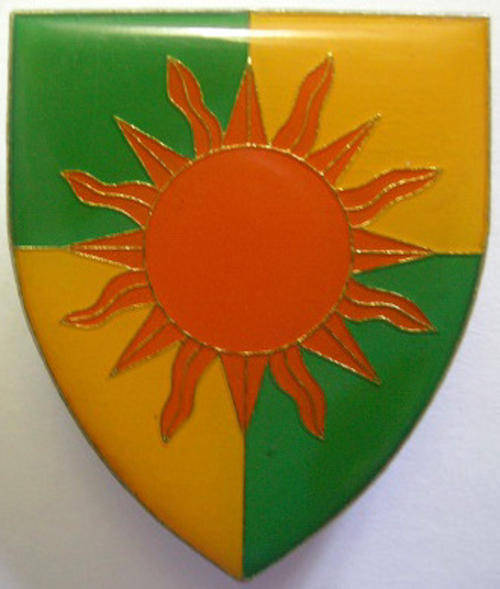 Group 21 HQ Shoulder Flash Pins Intact Dinnes 5094