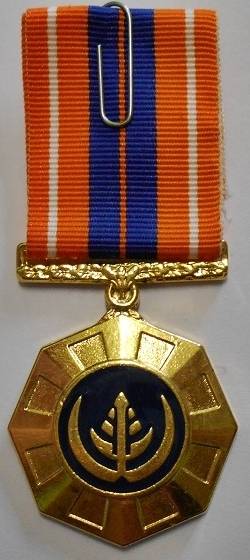 Full Size Pro Patria Medal Numbered at Back Flush Epoxy