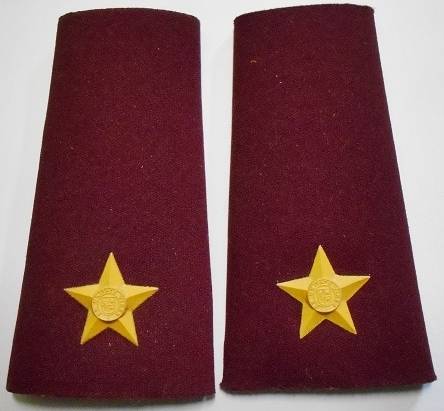 Medic 2nd Lieutenant Rank Insignia Rubberised Pair