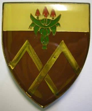 Amatola Commando Shoulder Flash Three Pins One Glued Dinnes 4774