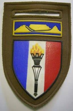 Ordnance Services School Rubberised Shoulder Flash Pin Intact Dinnes 5570
