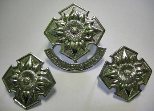 SA Army Women's College Chromed Cap & Collar Badges Dinnes 344 & 345