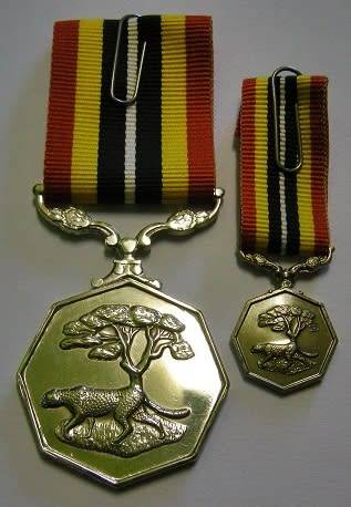 Full Size Southern Africa Medal Double Face Susp Tall Grass Poor Detail Number on Rim w/ Miniature