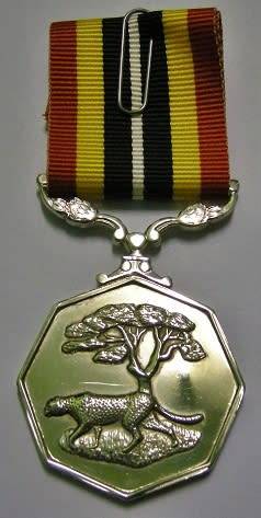 Full Size Southern Africa Medal Double Face Suspender Tall Grass Poor Detail Nr Engraved on Rim