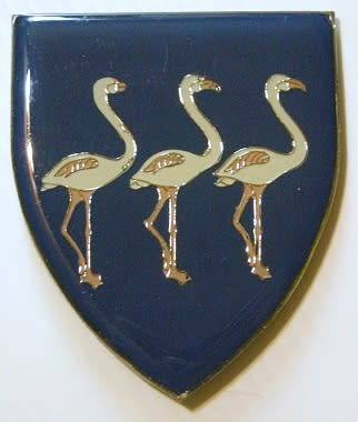 Brakpan Commando Shoulder Flash No Pins