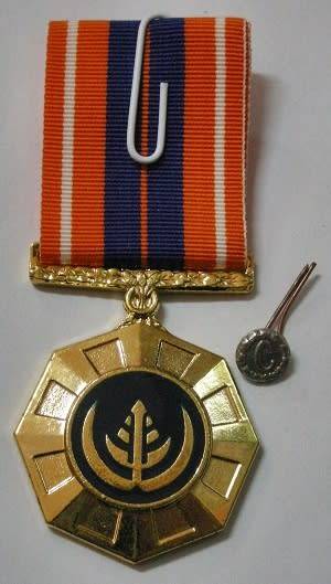 Full Size Pro Patria Medal Numbered at Back Flush Epoxy In Original Box w/ Cunene Button