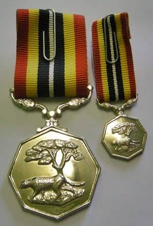 Full Size Southern Africa Medal Double Face Susp Tall Grass Poor Detail Number on Rim w/ Miniature