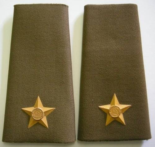 2nd Lieutenant Rubberised Rank Insignia Pair Raised Type