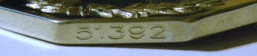 Full Size Southern Africa Medal Double Face Susp Tall Grass Poor Detail Number on Rim w/ Miniature