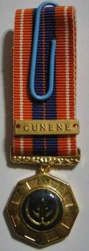 Miniature Pro Patria Medal w/ Miniature Cunene Bar