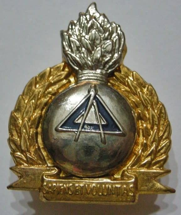 Bophuthatswana Defence Force Engineers Bi-Metal Cap Badge Bolt Type Dinnes 1351