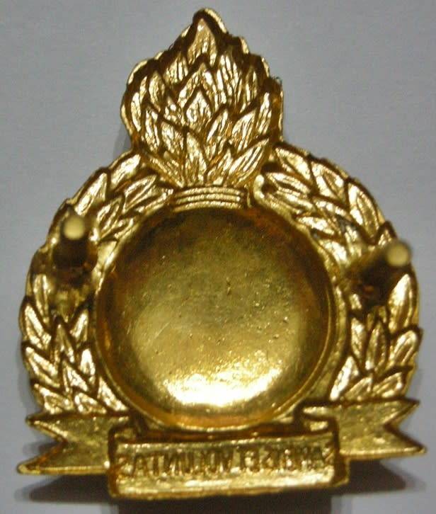 Bophuthatswana Defence Force Engineers Bi-Metal Cap Badge Bolt Type Dinnes 1351