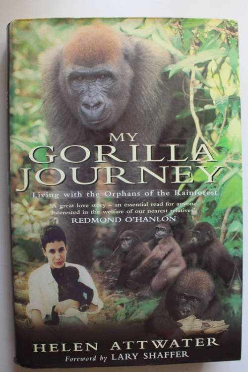 My Gorilla Journey: Living with the Orphans of the Rainforest by Helen Attwater