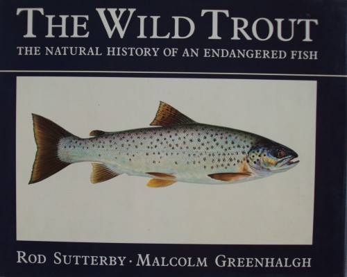 The Wild Trout - The Natural History of an Endangered Fish: Rob Sutterby Malcolm Greenhalgh