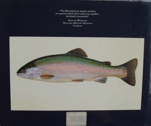 The Wild Trout - The Natural History of an Endangered Fish: Rob Sutterby Malcolm Greenhalgh
