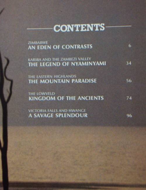 Beneath A Zimbabwe Sun - Beverly White