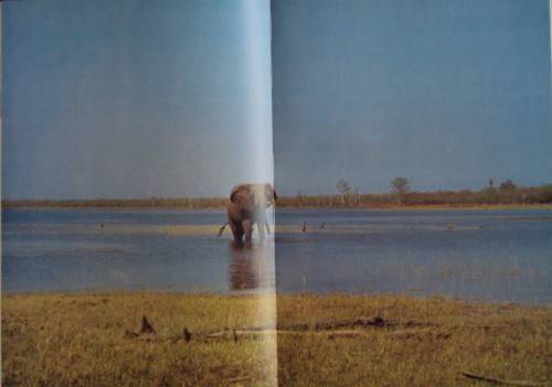 Beneath A Zimbabwe Sun - Beverly White