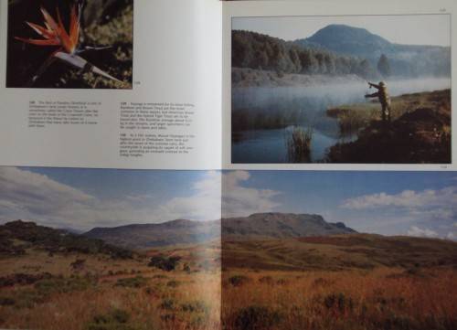 Beneath A Zimbabwe Sun - Beverly White