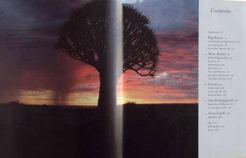 In Search of Remarkable Tress On Safari in Southern Africa Thomas Packenham