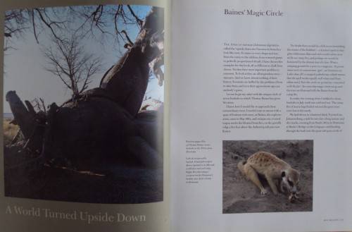 In Search of Remarkable Tress On Safari in Southern Africa Thomas Packenham