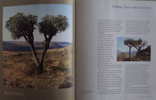 In Search of Remarkable Tress On Safari in Southern Africa Thomas Packenham