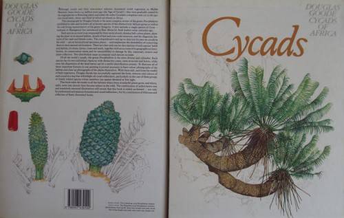 Cycads  of Africa Douglas Goode