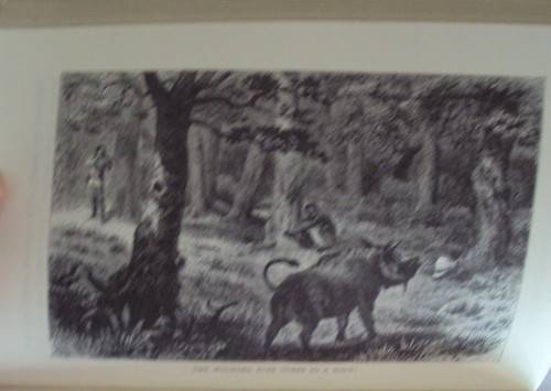 How I Found Livingstone The Travels, Adventuresn& Discoveries in Central Africa - H Stanley