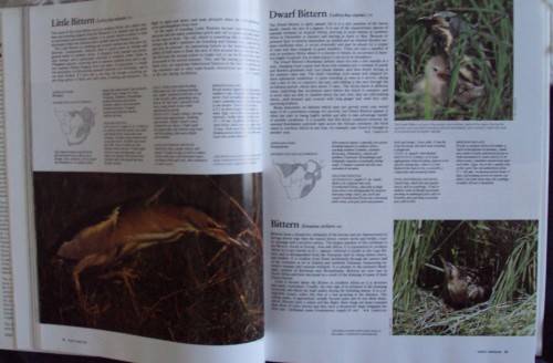 Complete Book of Southern African Birds P J Ginn W G McIlleron P le Milsteinn (Illustrated boxed)