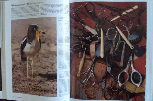 Complete Book of Southern African Birds P J Ginn W G McIlleron P le Milsteinn (Illustrated boxed)