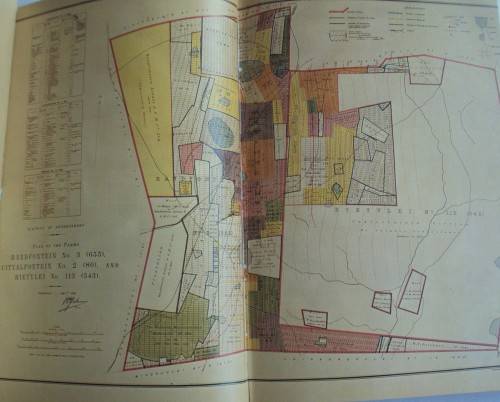 Randfontein Estates The First Hundred Years Anthony Hocking