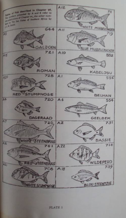 Strike! Handbook of Coastal & Offshore Angling in South Africa S Schoeman