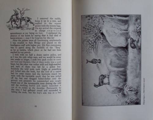 Memories of a Game Ranger  Harry Wolhuter