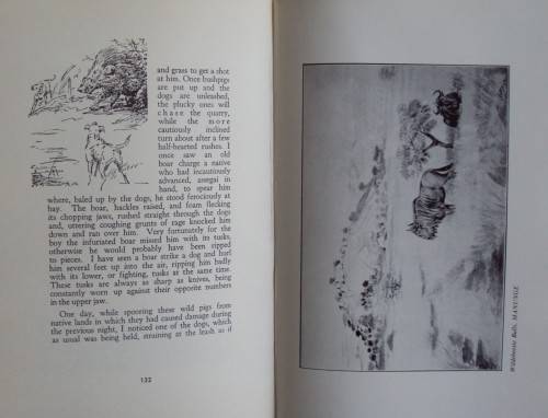 Memories of a Game Ranger  Harry Wolhuter