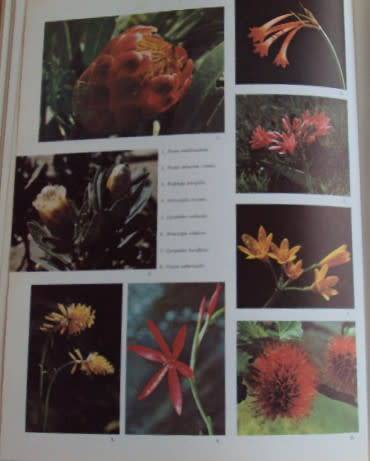 Barrier of Spears Drama of the Drakensberg R O Pearse