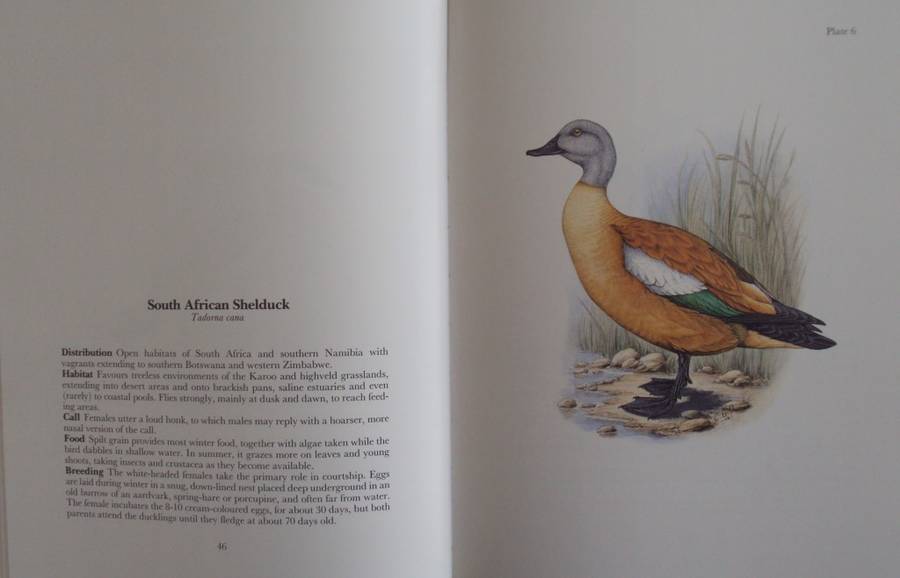 Gamebirds & Waterfowl of Southern Africa  Claude Gibney Finch-Davies