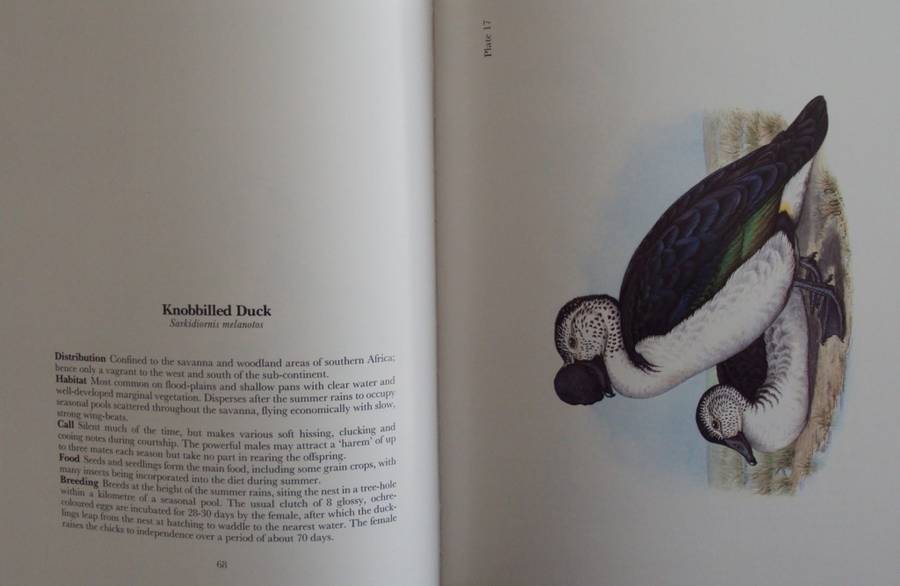 Gamebirds & Waterfowl of Southern Africa  Claude Gibney Finch-Davies