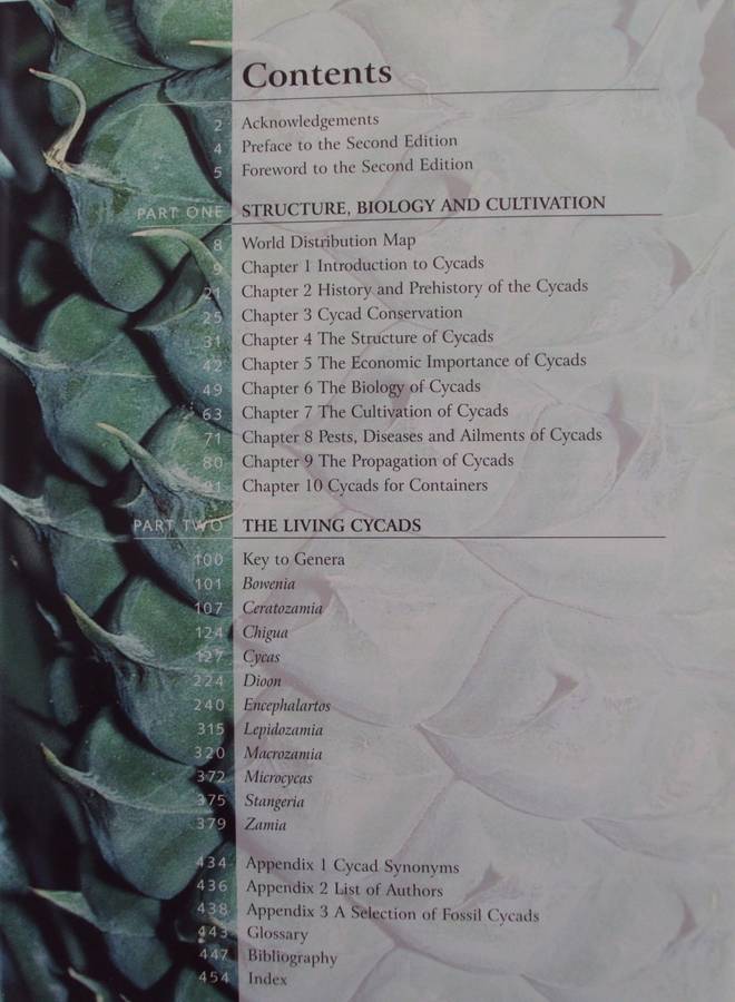 Cycads of the World Ancient Plants in Todays World David L Jones