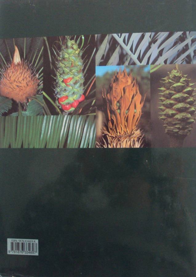 Cycads of the World Ancient Plants in Todays World David L Jones