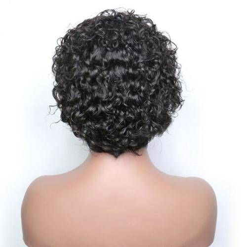 Brazilian Curly Human Hair Pixie Ear-to-Ear Lace Frontal Wig - Grade 11A
