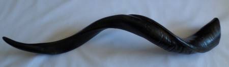 Decorative Kudu Horn, Antique brown