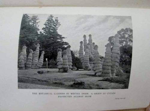 A Journal From Japan:Daily Record Of Life As Seen By A Scientist- Marie C Stopes- Blackie & Son,1920