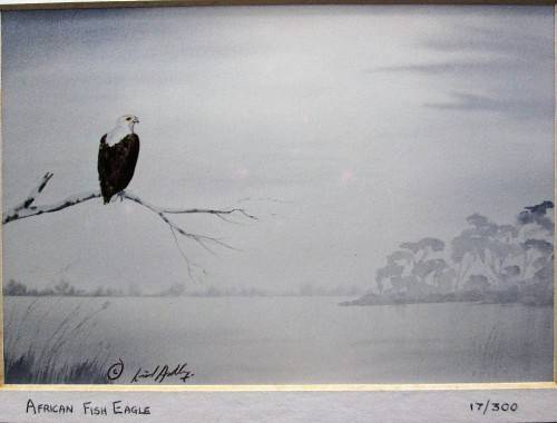 Lovely Lionel Ashley Numbered Art Print Framed In Board -Print Size 16,5cm/11cm -African Fish Eagle