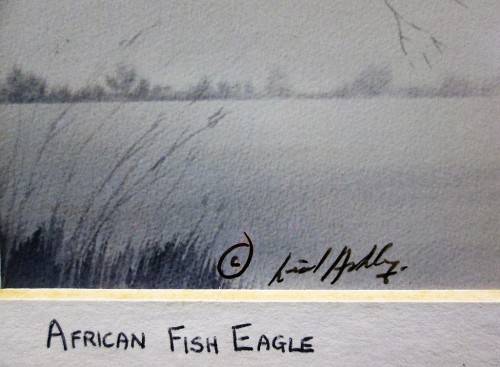 Lovely Lionel Ashley Numbered Art Print Framed In Board -Print Size 16,5cm/11cm -African Fish Eagle