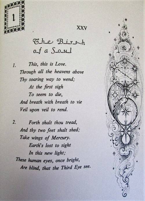 Sun of Tabriz: A Lyrical Introduction to Higher Metaphysics JALALUDDIN, RUMI (Signed! Colin Garbett)