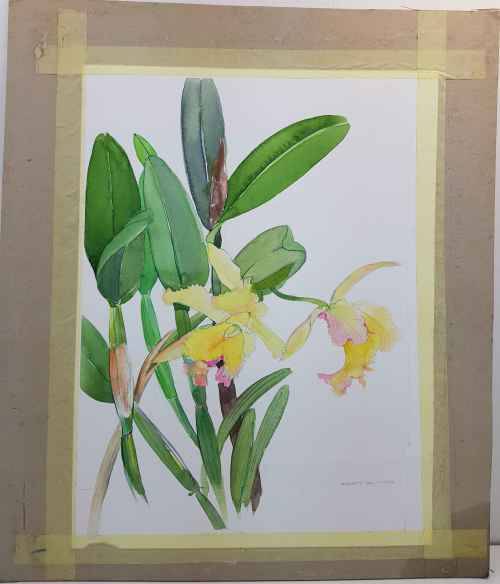 Lovely Original Sandy Slater Watercolour Pasted On Board - 30cm/39cm